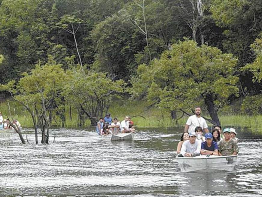 Câmara decide Código Florestal na próxima semana