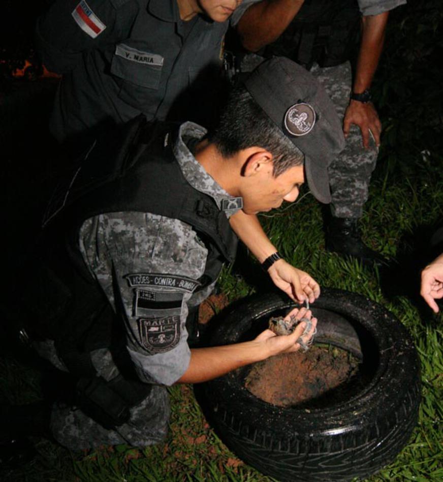 Granada caseira é encontrada em residência na Zona Leste de Manaus