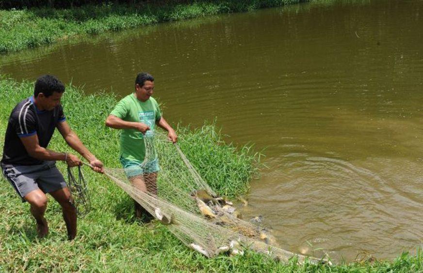 Produtores de Matupi (AM) recebem apoio para criação de peixes