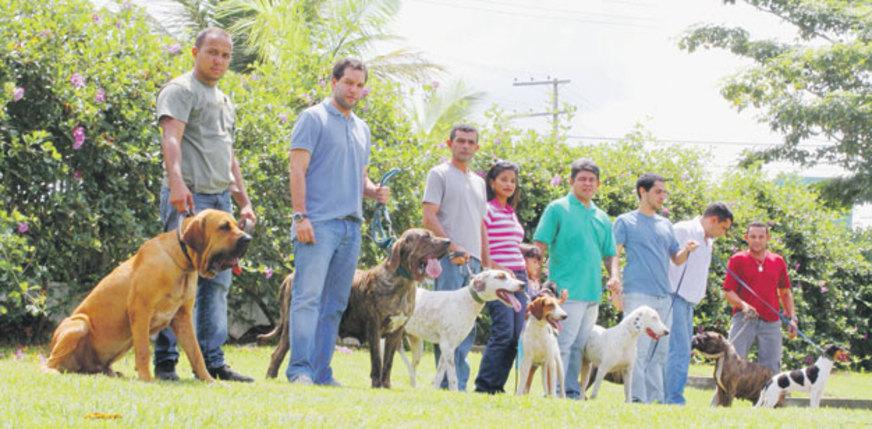 Pets: Conheça as raças genuínas do Brasil