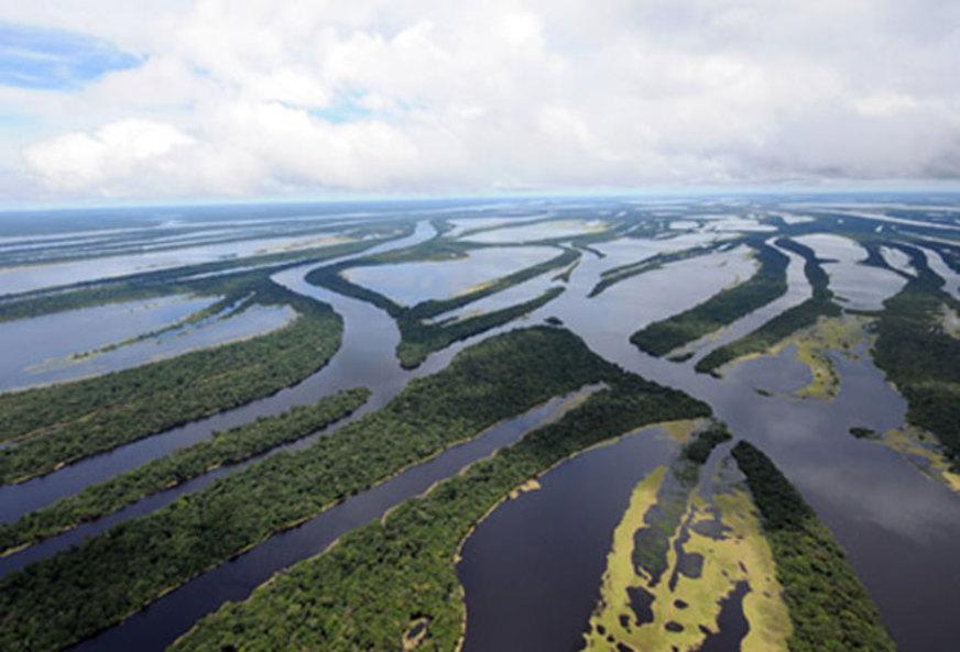 Parque Nacional de Anavilhanas, no Amazonas, ganha mapa turístico