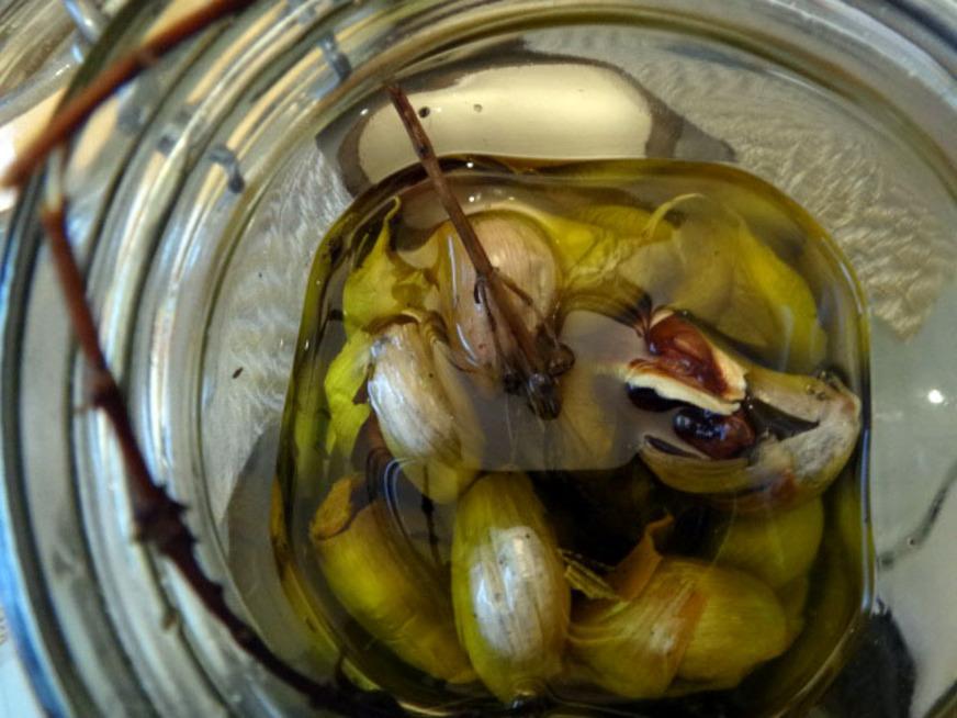 Receita: Confit de alho