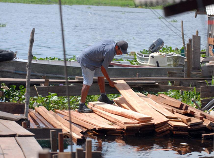 Segmento madeireiro e vendedores de peixe lucram com a cheia no Amazonas