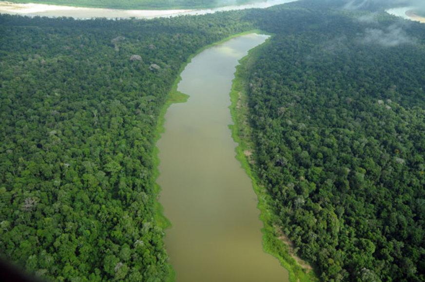 Representantes da Amazônia Legal discutem Rio +20 em Manaus