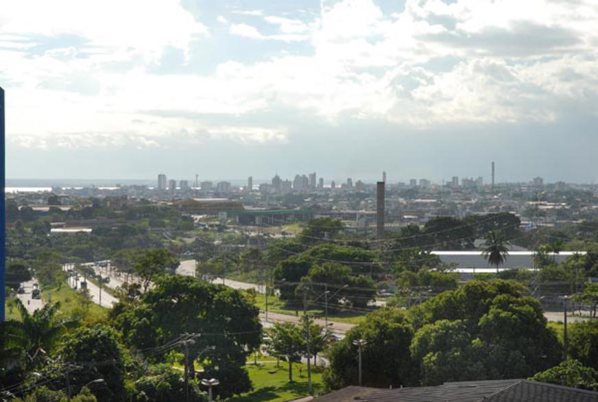 Câmara aprova uso de multas ambientais, para arborização