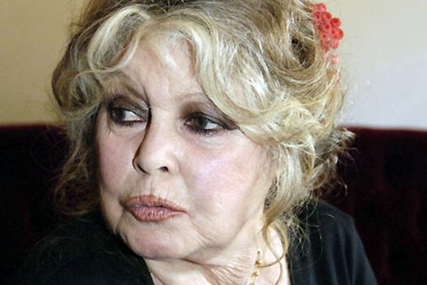Brigitte Bardot implora que Dilma detenha o “genocídio de burros”