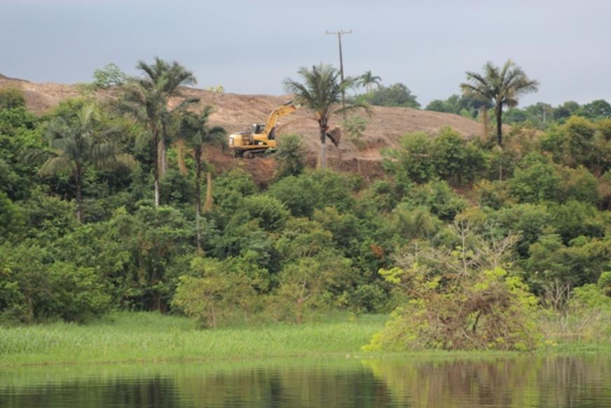 Moradores denunciam desmate de área verde na Zona Leste de Manaus
