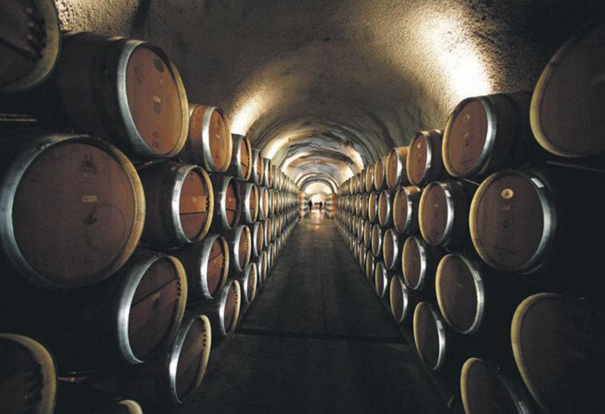 Vinhos ganham o coração dos manauaras