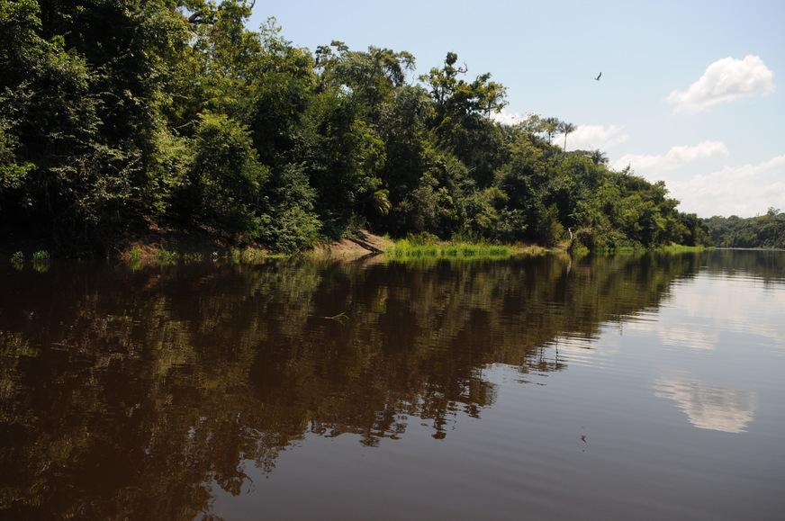 Prazo para apresentar emendas da MP do Código Florestal acaba nesta segunda