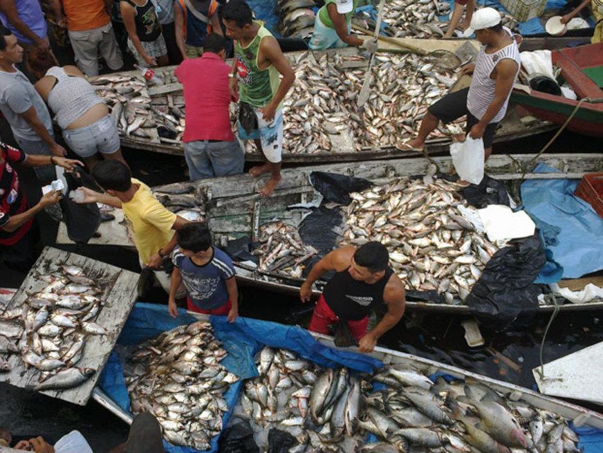 Aleam homenageia dia do pescador, dia 29 de junho