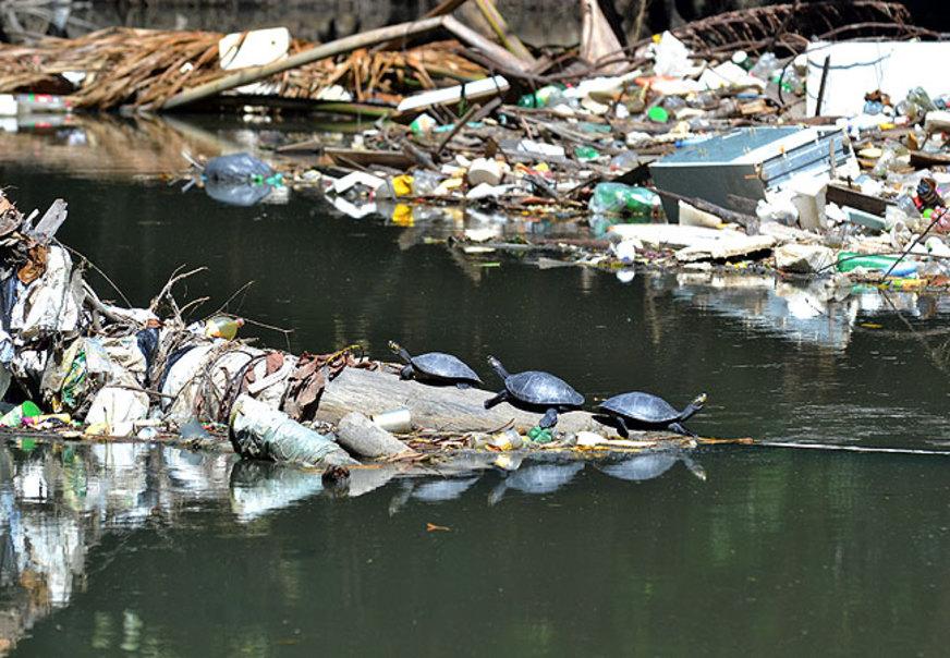 Projeto de Revitalização do Igarapé do Mindu é uma ameaça