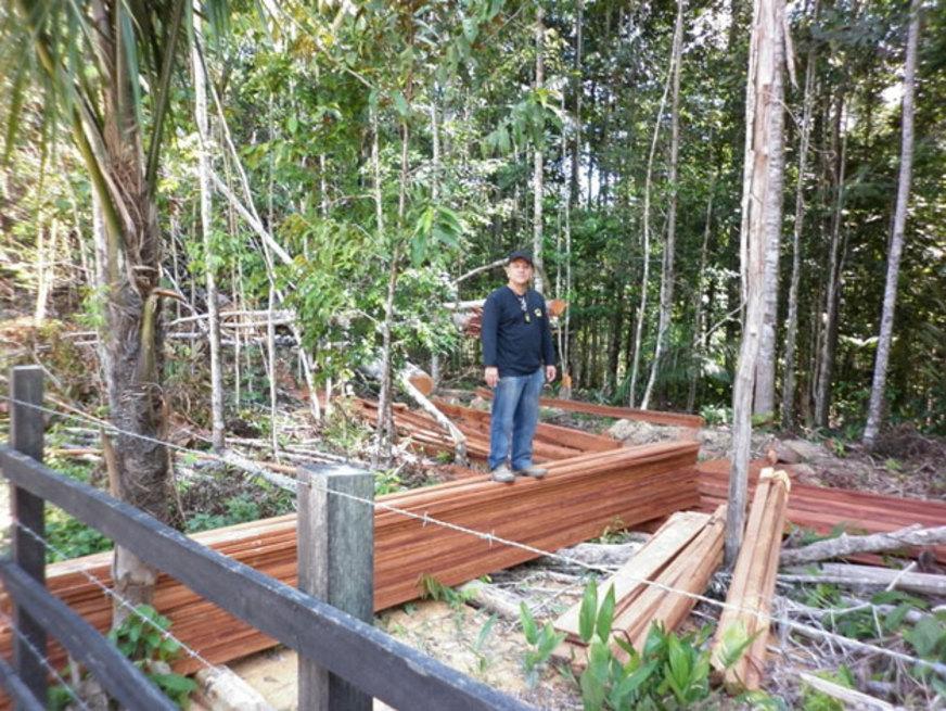 Extração ilegal de madeira é identificada em rodovia do Amazonas