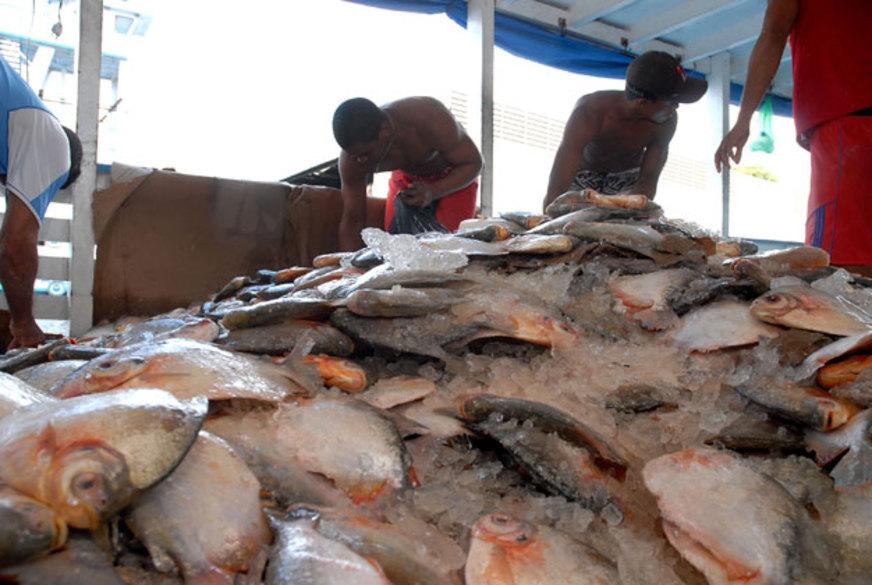 Manaus pode ter cesta básica com 32 itens incluindo peixes regionais