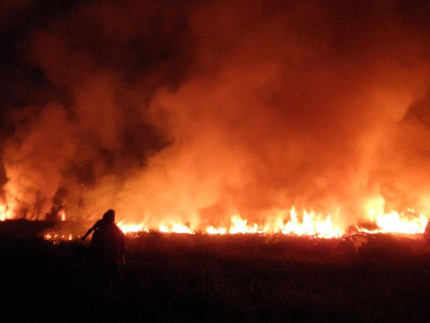 Incêndio atinge mata rasteira em município do interior do Amazonas