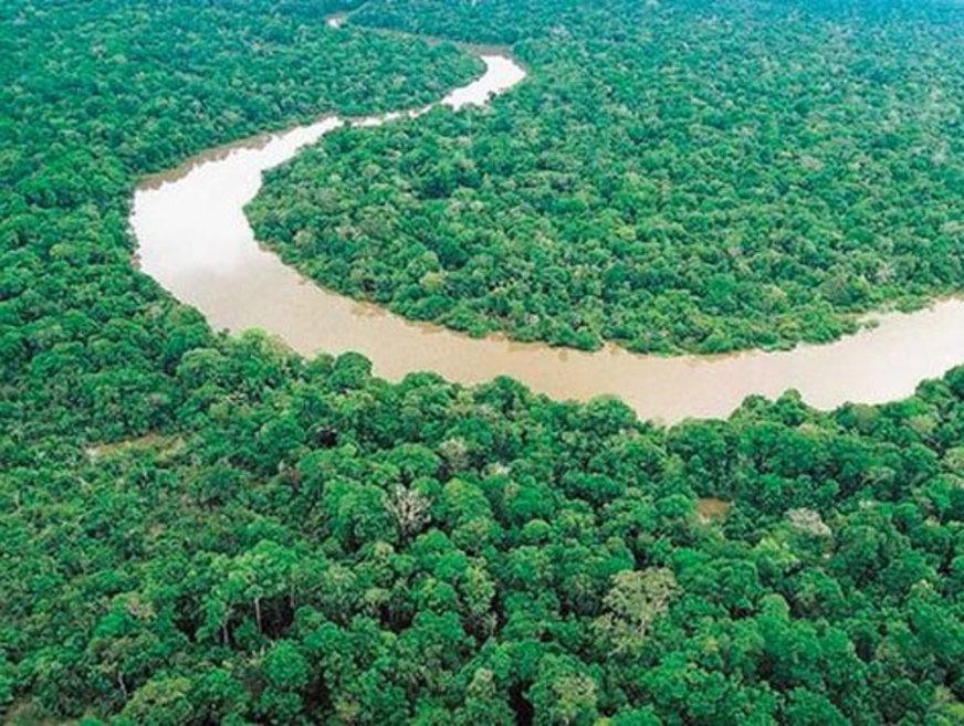 Prioridade do Senado é votar MP do Código Florestal