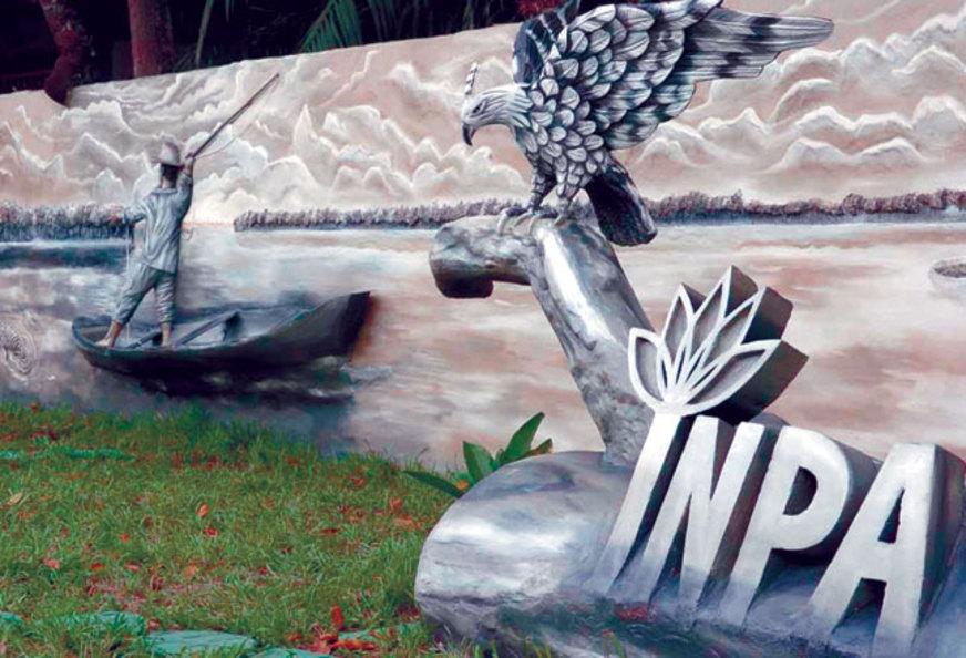 Inpa sedia reunião internacional
