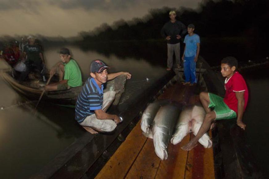 Pescadores de reserva dão exemplo de manejo no interior do Amazonas