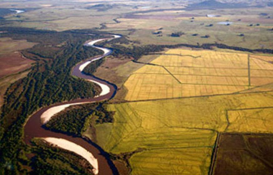 Vetos ao Código Florestal causam controvérsia no Senado