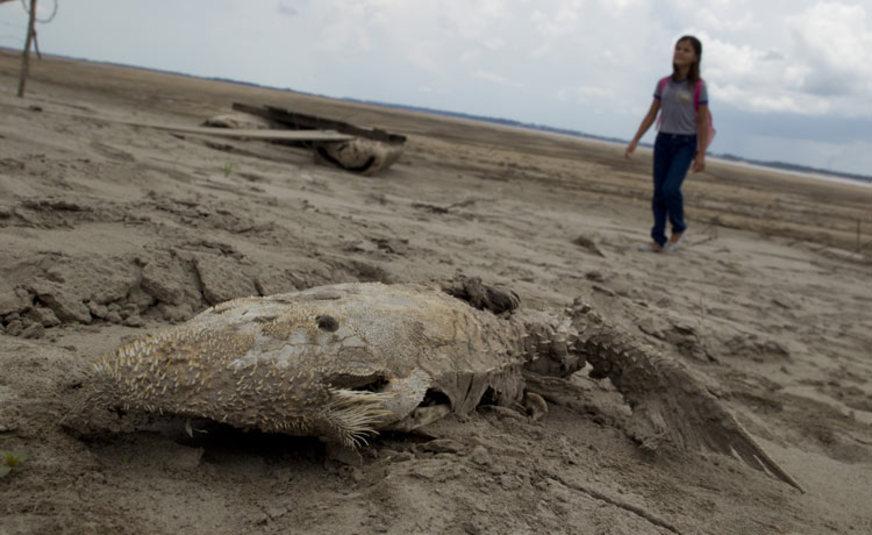 Após cheia recorde, estiagem afeta comunidades ribeirinhas do AM