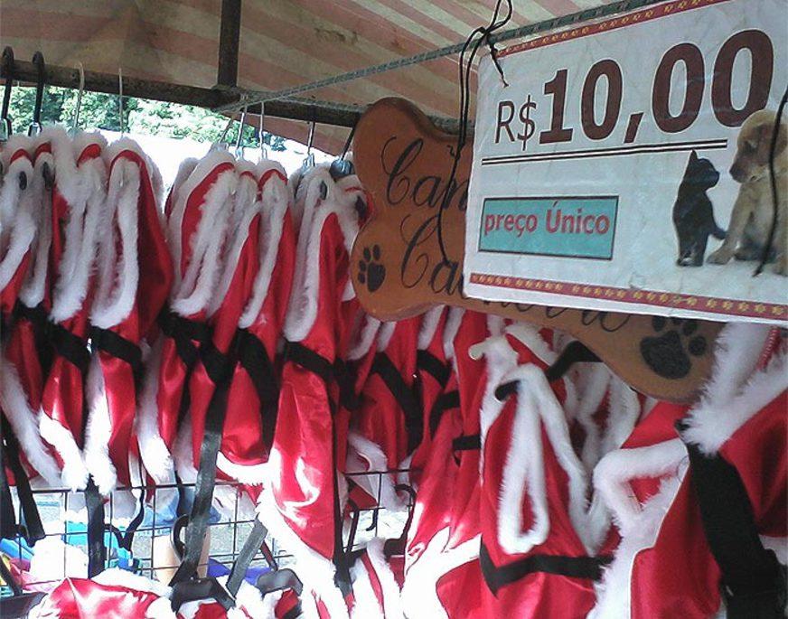Cães e gatos passam o natal e réveillon de roupa nova