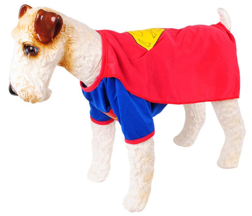 Fantasias com estilo para seu pet