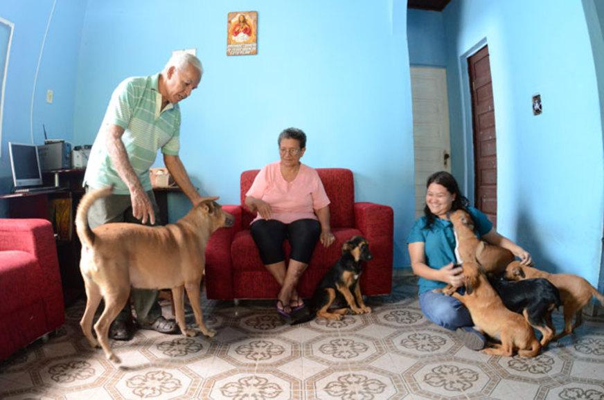 Doação de amor é adoção