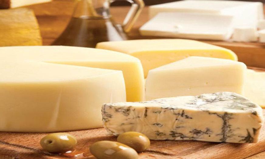 Conheça os benefícios do queijo à saúde