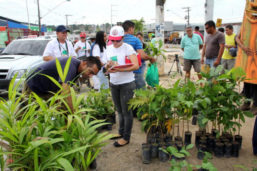 Zona Leste de Manaus recebe mutirão de arborização