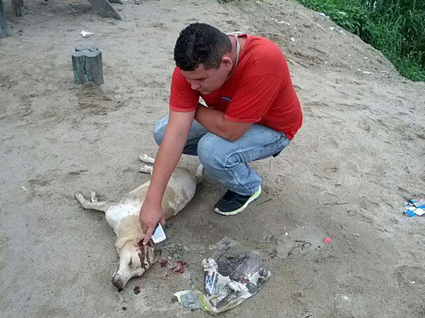 PM é acusado de matar cachorro com um tiro na cabeça