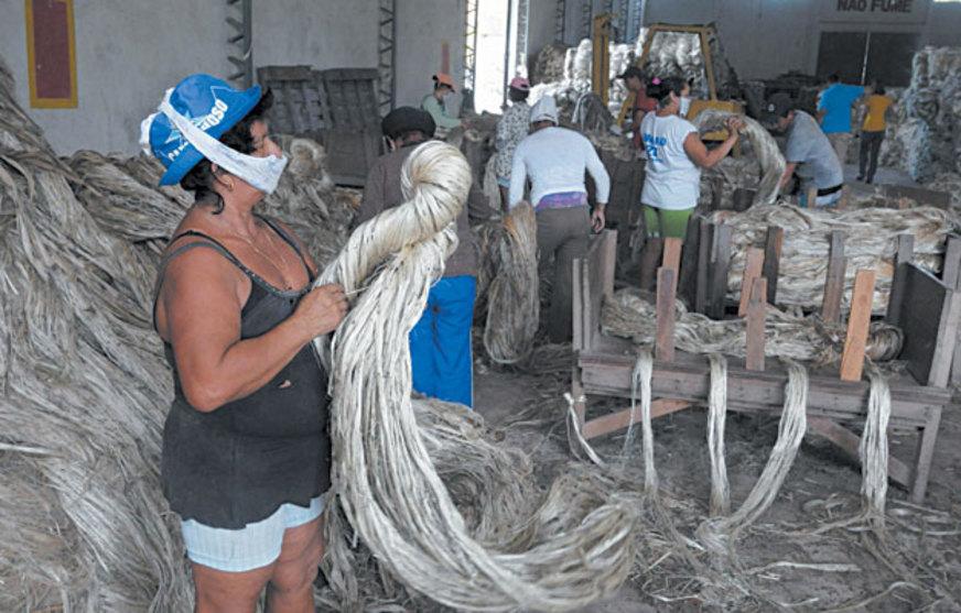 Setor agrícola do Amazonas recebe ajuda indispensável de Companhia Nacional