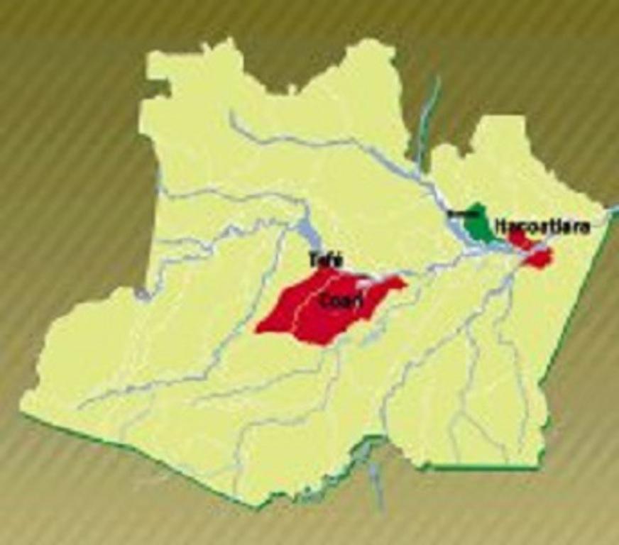 Prefeitos do interior do Amazonas fazem festival de dispensa de licitação