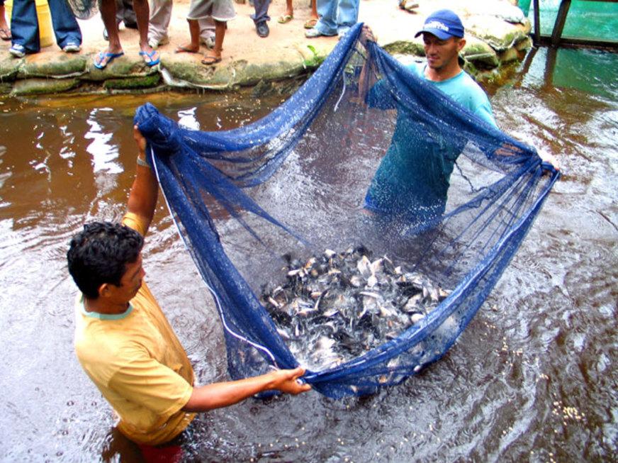 Governo do Amazonas 180 vagas para programa de residência agrária no interior do Amazonas