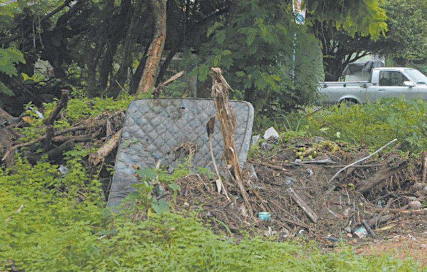 Dengue: Terrenos baldios proliferam doença em Manaus