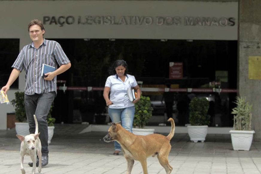 Câmara promove adoção de animais em Manaus