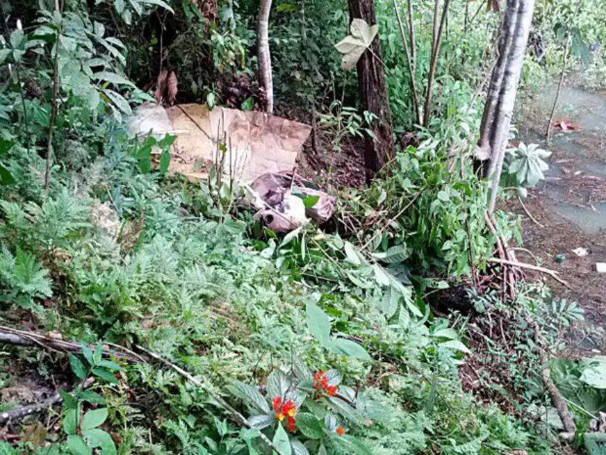 Corpo de mulher é encontrado em mata da UFAM