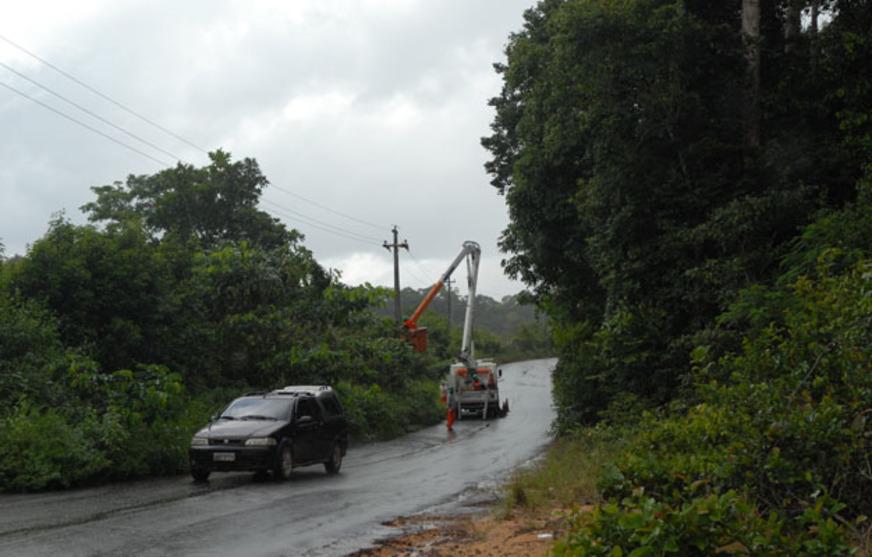 Perigo que vem das árvores