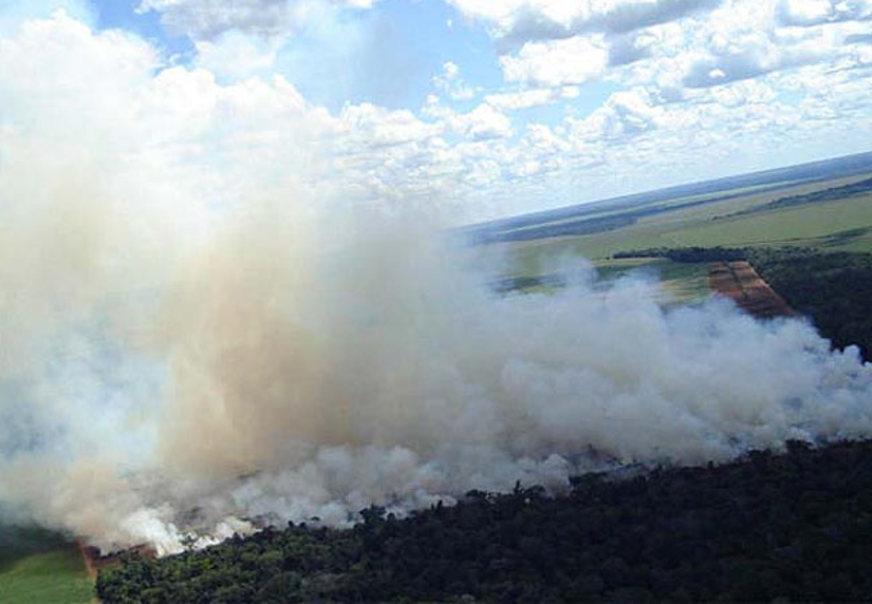 Alertas de desmatamento sobem 26% em seis meses na Amazônia