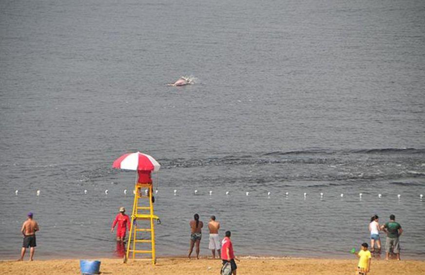 Praia da Ponta Negra será reaberta no domingo (19)