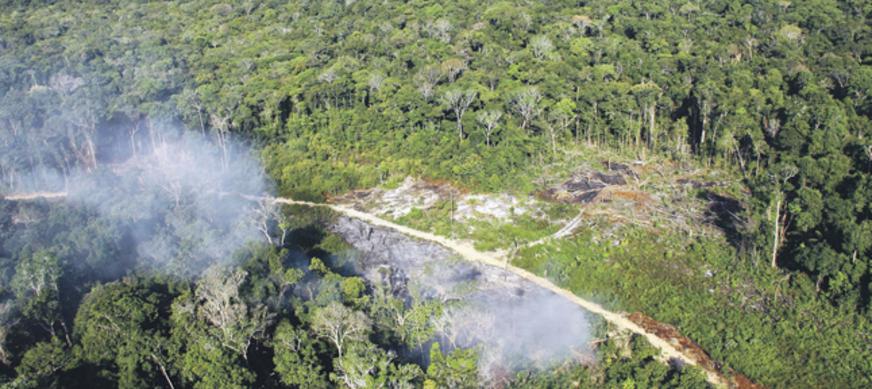 Definido cronograma de implantação do Programa Assentamentos Verdes