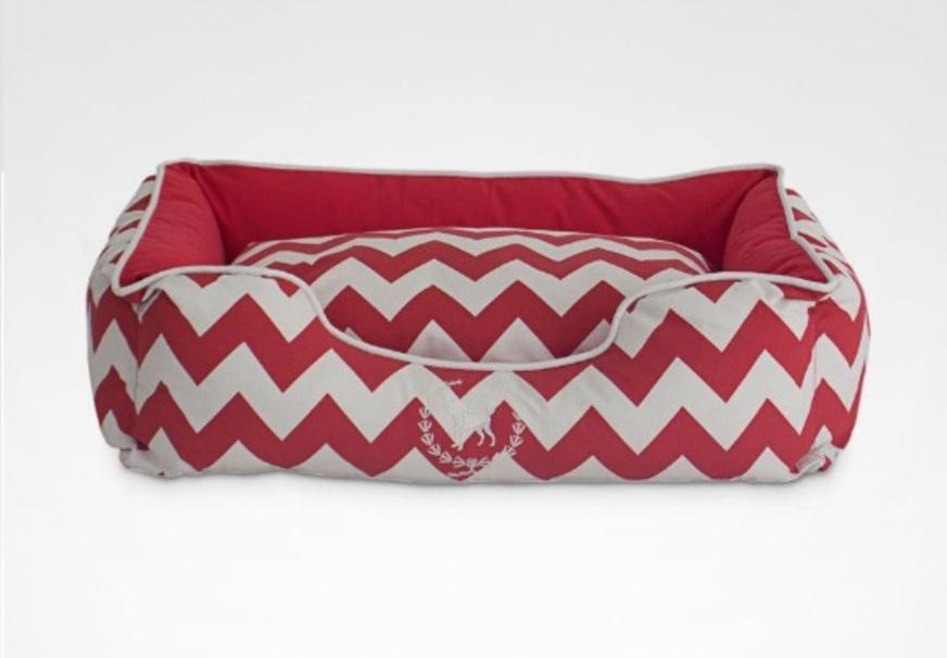 Sig In indica cama para pets