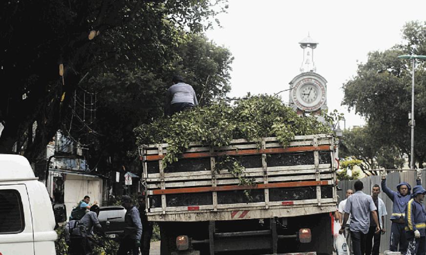 Limpeza e arborização do Centro de Manaus continua intensa