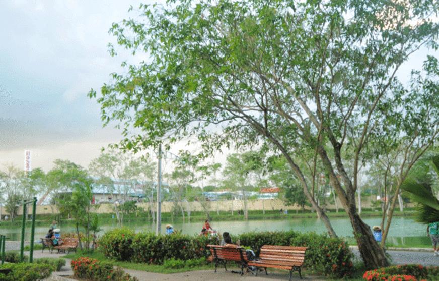 Bairro Japiim comemora 44 anos de existência em Manaus