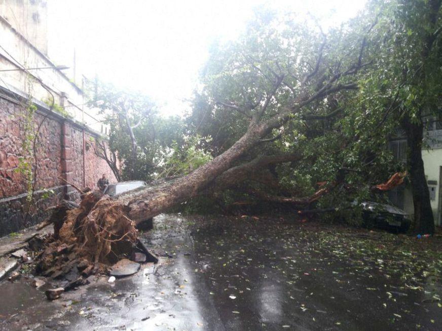 Forte chuva volta a causar estragos em Manaus