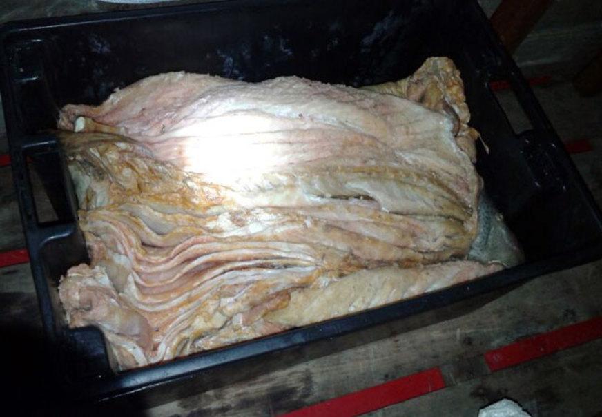 Batalhão apreende carne de jacaré, pirarucu e madeira ilegais