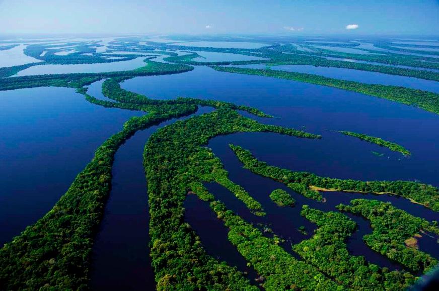 Rede de soluções sustentáveis para a Amazônia é lançada nesta terça-feira (18)