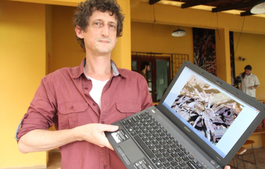 Amazônia é casa preferida das aranhas, diz especialista