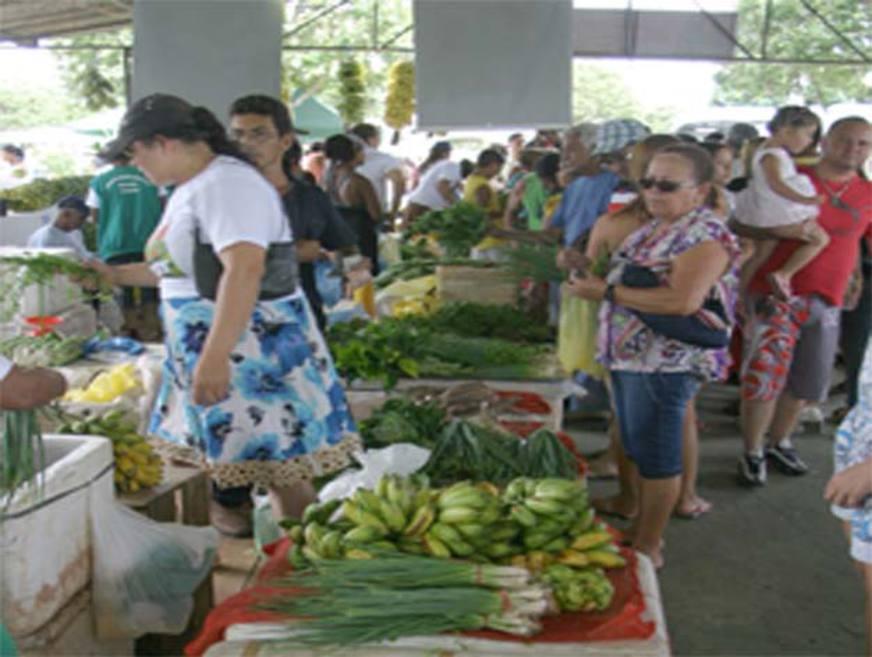 Governo do Estado e Basa selam acordo de R$ 200 milhões