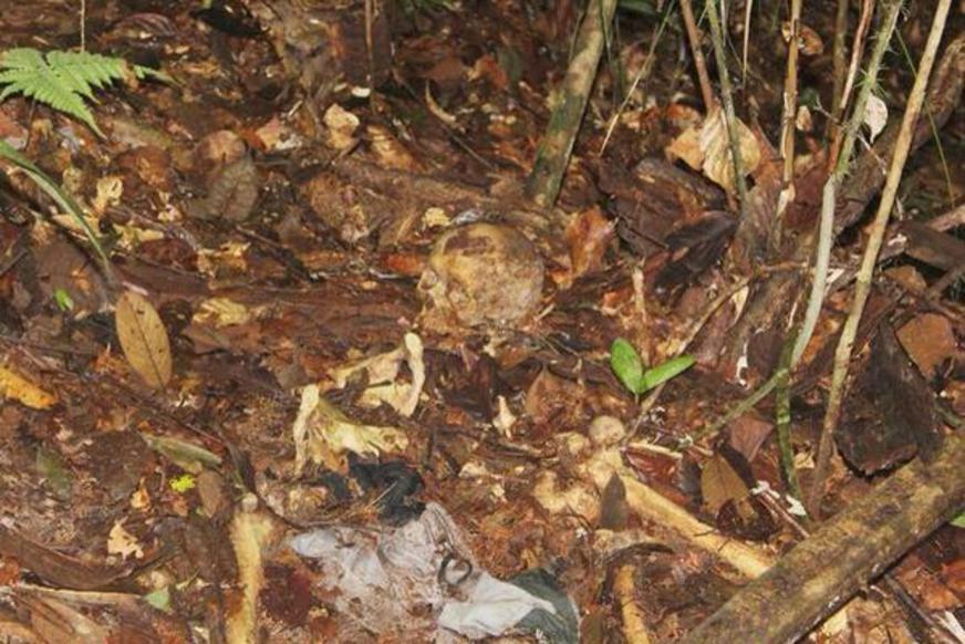 Ossada humana é encontrada na Nova Cidade, Zona Norte de Manaus