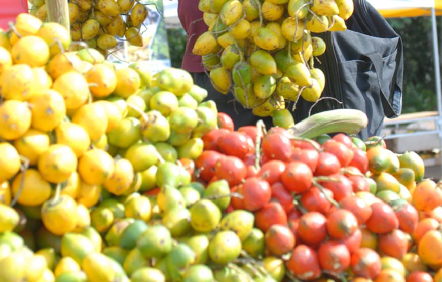 Frutas amazônicas são aliadas contra o câncer