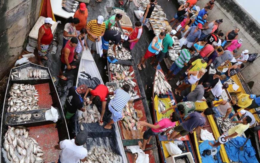 Canoeiros do Centro passam a trabalhar na Feira do Coroado 3